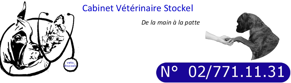Cabinet vétérinaire Stockel  